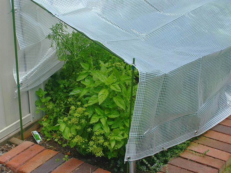 greenhouse cover for plants,6 x 8 greenhouse replacement cover,replacement greenhouse covers large,heavy duty greenhouse covers