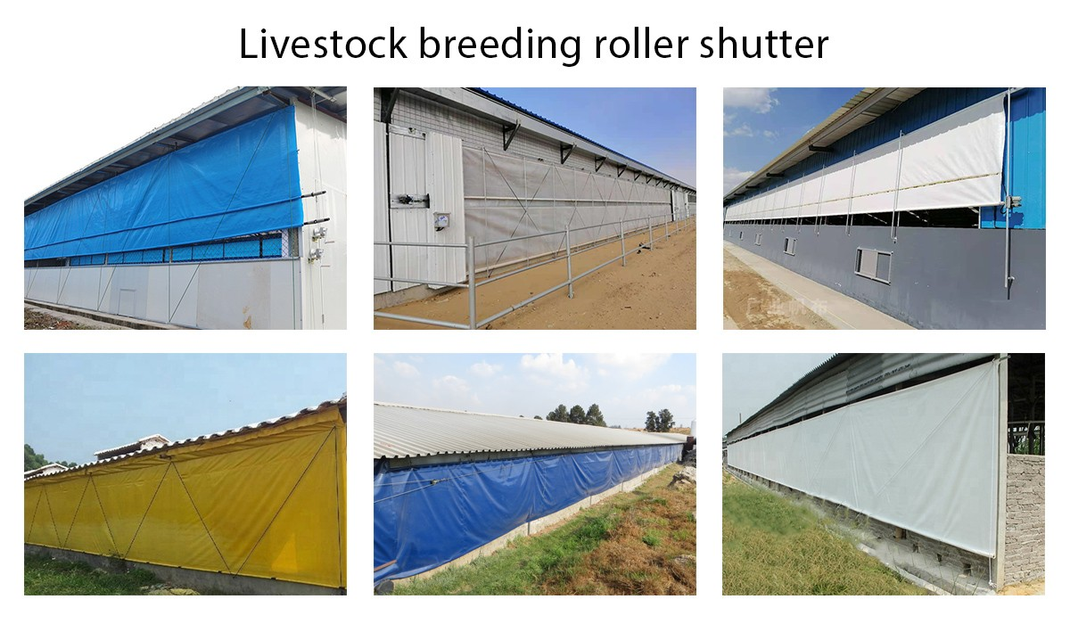 Livestock breeding roller shutter for Awning and Rainproof