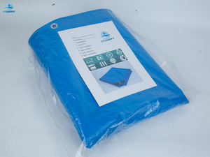 Light Blue PVC Tarpaulin Available in Size 4X4 Feet