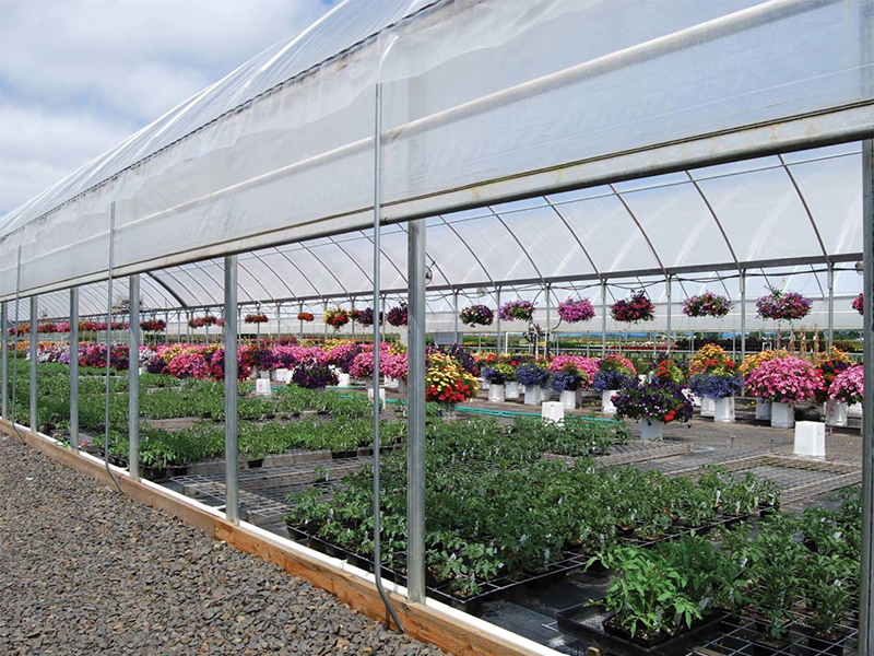 Why you need a greenhouse?