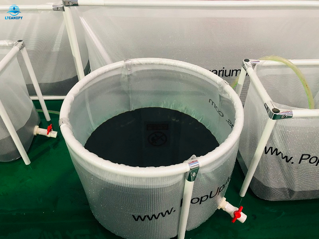120 Liters Transparent PVC Biofloc Aquaculture Tank